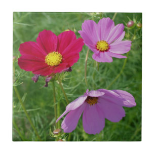 Cosmos Flower Trio Nature Tile