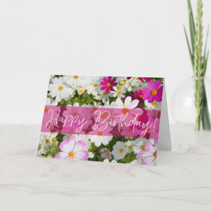 Cosmos Flowers Birthday Greeting Card