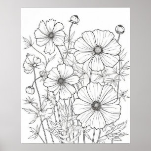 Cosmos Flowers Coloring Poster for Adults