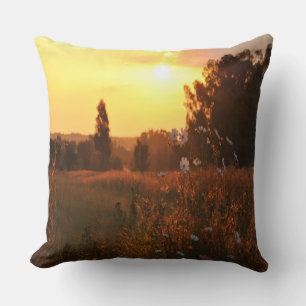 Cosmos flowers in sunset cushion