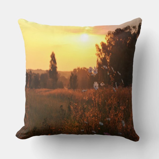 Cosmos flowers in sunset  cushion (Front)