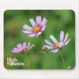 Cosmos Flowers Mouse Mat