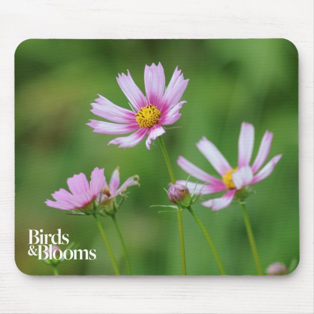 Cosmos Flowers Mouse Mat (Front)