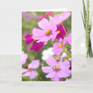 Cosmos [Greeting Card] Card