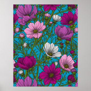 Cosmos mix on blue poster