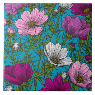 Cosmos mix on blue tile
