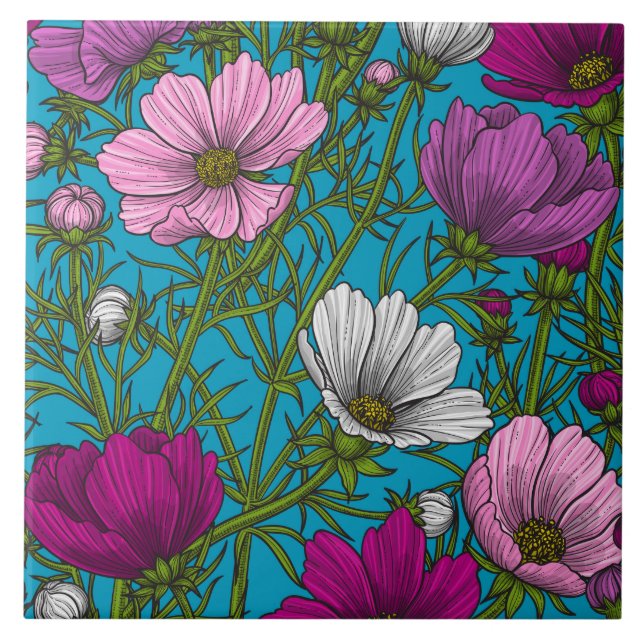Cosmos mix on blue tile (Front)