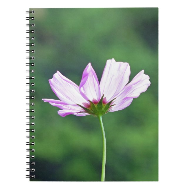 Cosmos Notebook (Front)