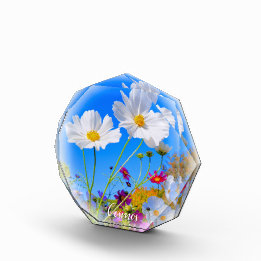 Cosmos Photo Block