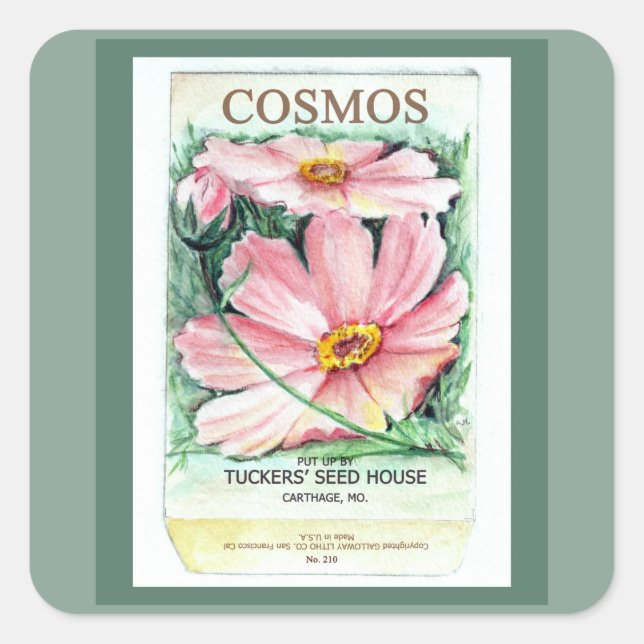 Cosmos Seed Packet   Square Sticker (Front)