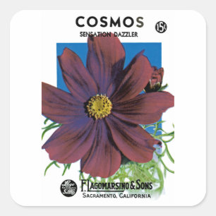 Cosmos Square Sticker