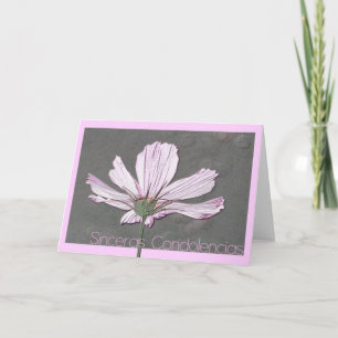 cosmos sympathy card spanish