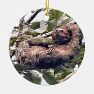 Cosra Rican sloth Ceramic Tree Decoration