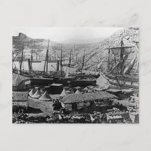 Cossack Bay, Crimea, c.1855 Postcard (Front)