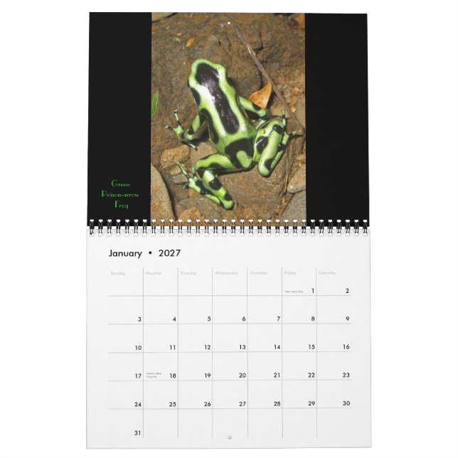 Costa Rica 2011 Calendar (Jan 2027)