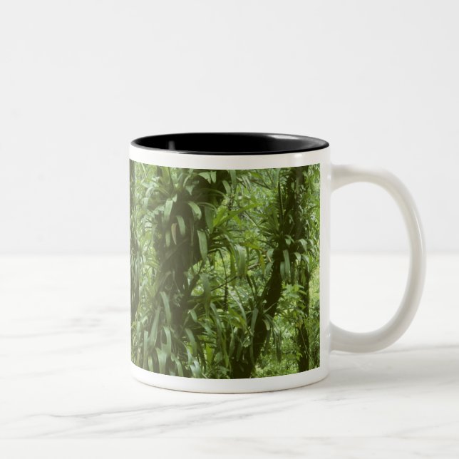 Costa Rica, Arenal National Park, rainforest Two-Tone Coffee Mug (Right)