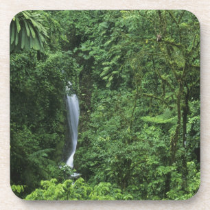 Costa Rica, Arenal Volcano area, Hanging Bridges Coaster