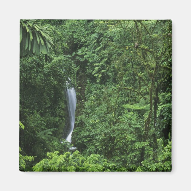 Costa Rica, Arenal Volcano area, Hanging Bridges Magnet (Front)