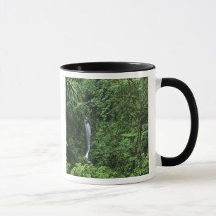 Costa Rica, Arenal Volcano area, Hanging Bridges Mug