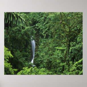 Costa Rica, Arenal Volcano area, Hanging Bridges Poster