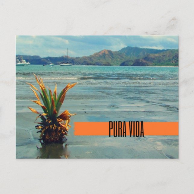 Costa Rica Beach Pura Vida Postcard (Front)