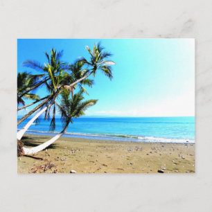 Costa Rica, beach with palm tree Postcard