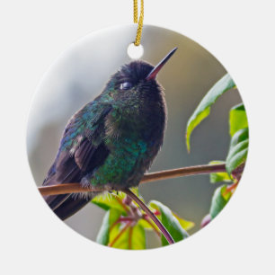 Costa Rica bird - Fiery-throated Hummingbird Ceramic Tree Decoration