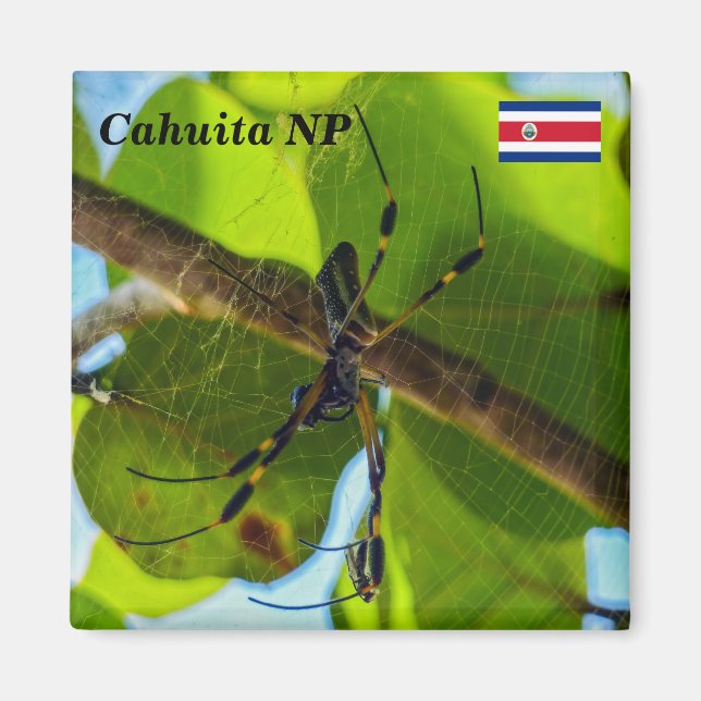 Costa Rica, Cahuita NP -  Golden Orb Spider Magnet (Front)