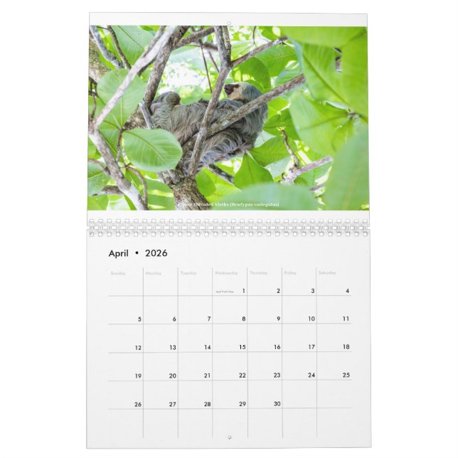 Costa Rica Calendar (Apr 2026)