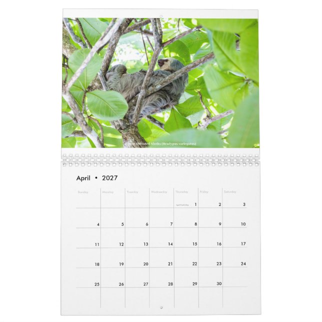 Costa Rica Calendar (Apr 2027)