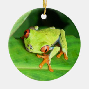 Costa Rica Ceramic Tree Decoration