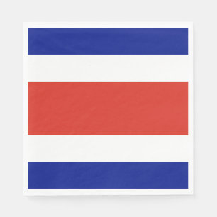 Costa Rica Civil Flag Napkin