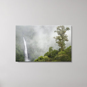Costa Rica, cloud forest in mountains near La Canvas Print