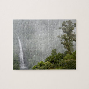 Costa Rica, cloud forest in mountains near La Jigsaw Puzzle