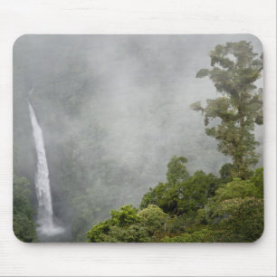 Costa Rica, cloud forest in mountains near La Mouse Mat