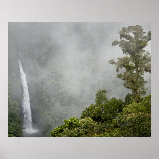 Costa Rica, cloud forest in mountains near La Poster (Front)