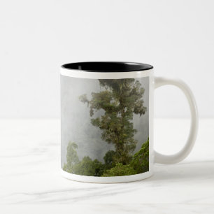 Costa Rica, cloud forest in mountains near La Two-Tone Coffee Mug