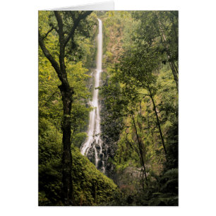 Costa Rica, Cocos Island, Wafer Bay Waterfall