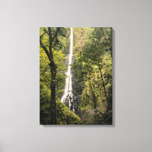 Costa Rica, Cocos Island, Wafer Bay Waterfall Canvas Print (Front)