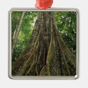 Costa Rica, Corcovado National Park, Buttressed Metal Tree Decoration