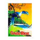 Costa Rica, exotic parrot on the beach, vintage