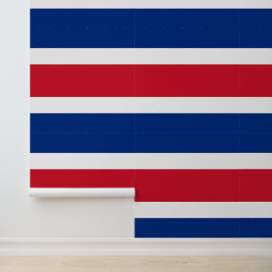 Costa Rica flag Wallpaper