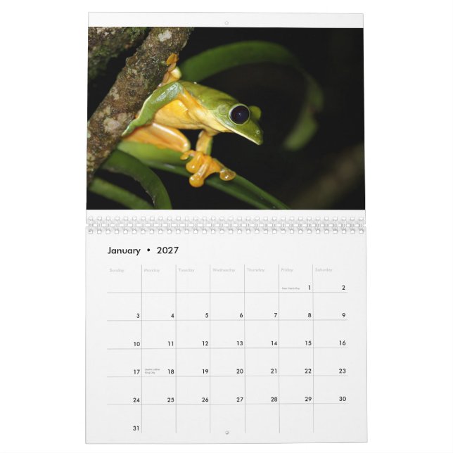 Costa Rica Frogs Calendar (Jan 2027)