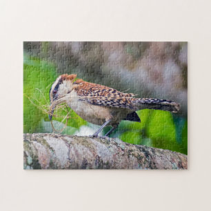 Costa Rica - Great antshrike bird Jigsaw Puzzle