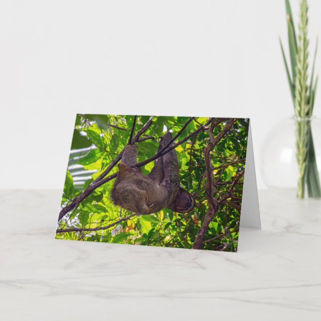 Costa Rica - Happy  Lazy Sloth, Antonio Manuel NP Card (Front)