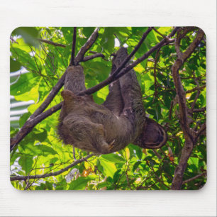 Costa Rica - Happy  Lazy Sloth, Antonio Manuel NP Mouse Mat