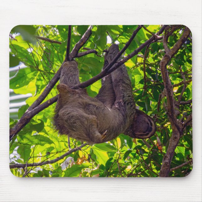 Costa Rica - Happy  Lazy Sloth, Antonio Manuel NP Mouse Mat (Front)