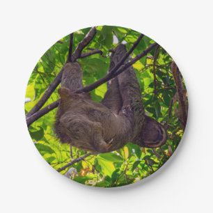 Costa Rica - Happy  Lazy Sloth, Antonio Manuel NP Paper Plate
