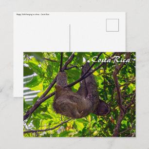 Costa Rica - Happy  Lazy Sloth, Antonio Manuel NP Postcard