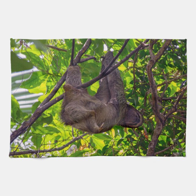 Costa Rica - Happy  Lazy Sloth, Antonio Manuel NP Tea Towel (Horizontal)